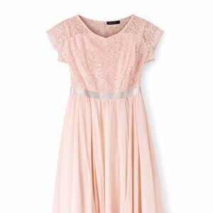 Dress Tells Blush Lace & Chiffon Formal Dress – Women’s XL